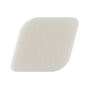 Boyd's Latex-Free Diamond Sponge