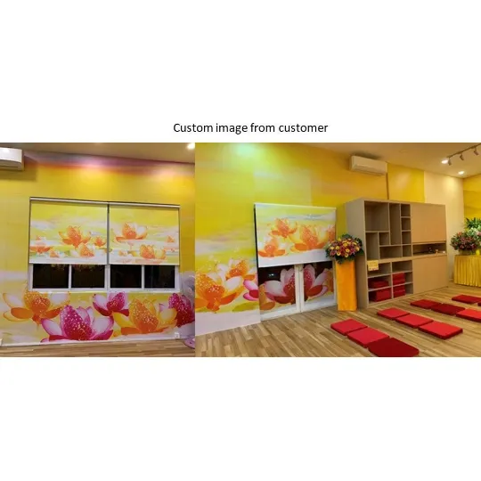 Custom Your Image/Logo Print Double Sided Printing Window Roller Shade