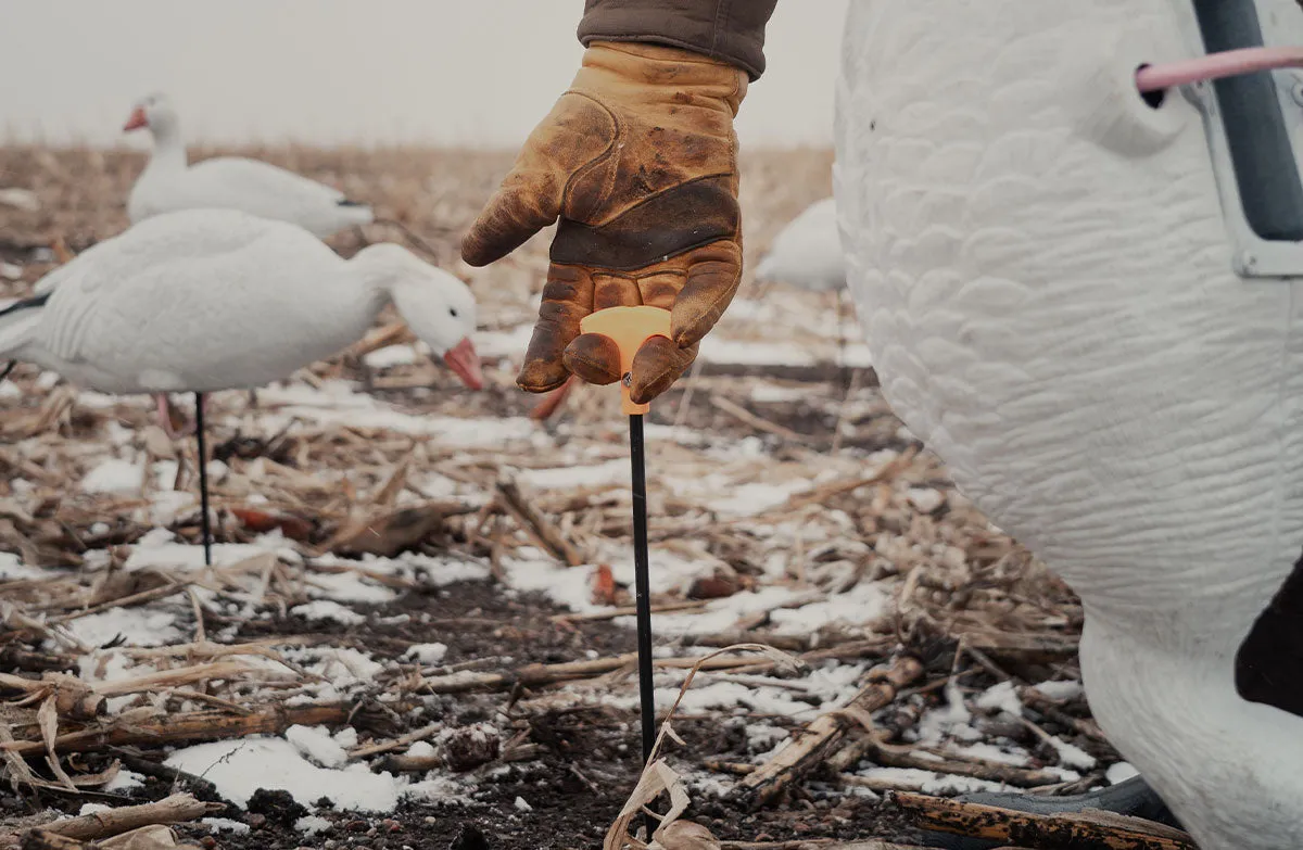 Flight Series Full Body Snow Goose Decoy Combo Pack